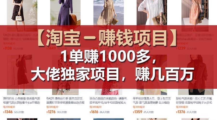 💰👗【超高价女装】淘宝赚钱秘籍，一单净赚1000+！👗💰