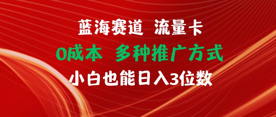 🚀🌊【流量卡蓝海】0成本小白日入三位数，揭秘蓝海赛道！🌊🚀